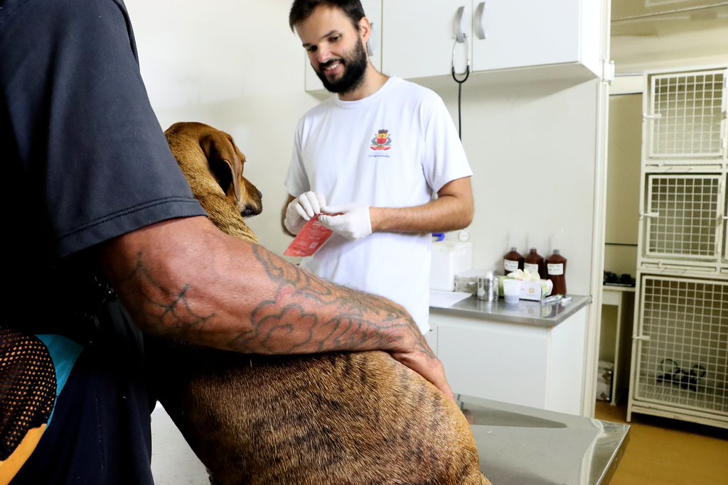 Gestão Municipal amplia abordagem humanizada e inclui cuidado com animais de população de rua