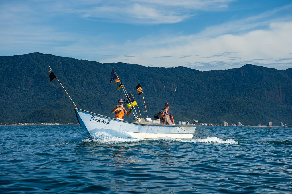 Pesca do camarão é retomada em Caraguatatuba após defeso e exige cumprimento de regras ambientais